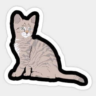 Graphic Cat Sticker